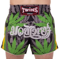 Шорти для тайського боксу та кікбоксингу TWINS TBS-GRASS GRASS S-XL зелений